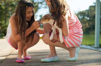 Girl From Lebanon Rescues Stray Dogs And Finds Forever Homes For Them In Canada